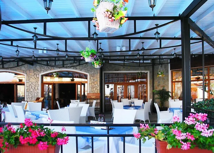 мускат 2 阿赫洛伊